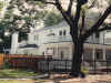 0-BAYLAND)1005.jpg (185240 bytes)